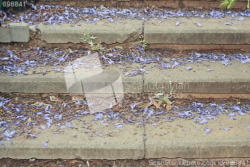 Image of Spring stairs 