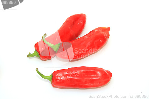 Image of Tasty kitchen. Fresh vegetables isolated on white