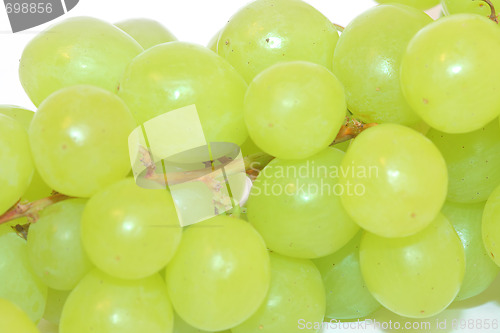 Image of Grapes isolated on white