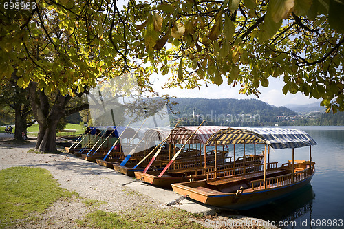 Image of By Lake Bled Slovenia