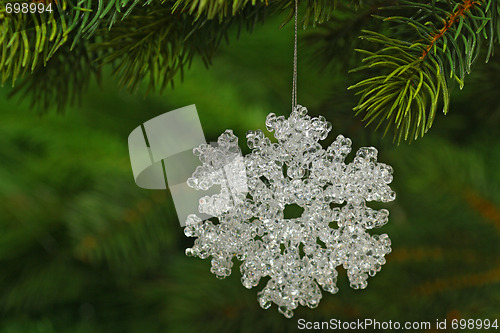 Image of Chrismas star