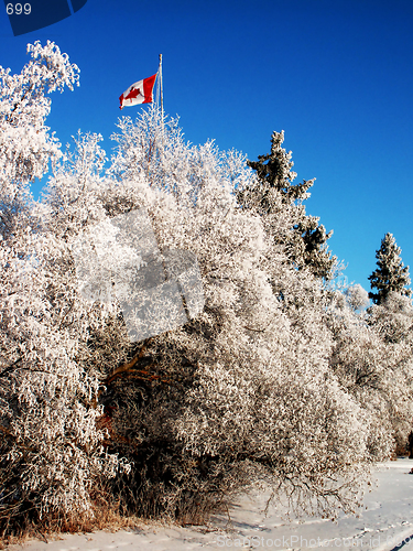 Image of Flag and Frost