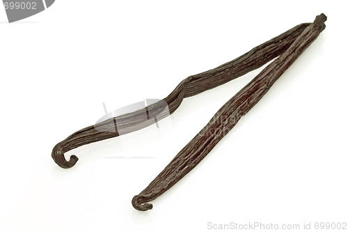 Image of Dried vanilla beans