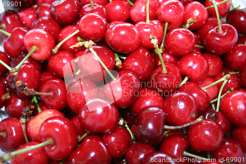 Image of Cherries