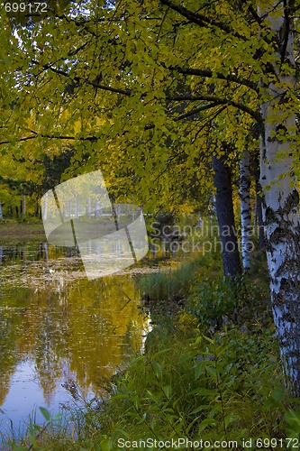 Image of Fall colors
