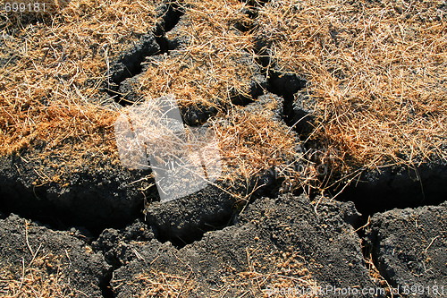Image of Dry and Cracked Earth