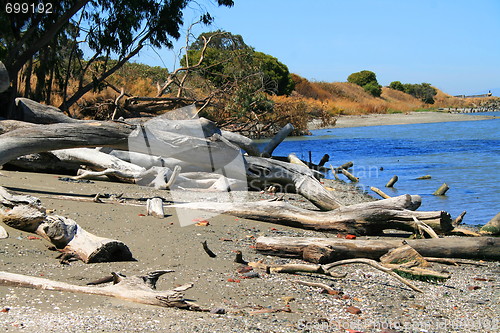 Image of Driftwood