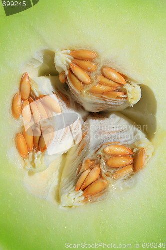 Image of Honeydew Melon