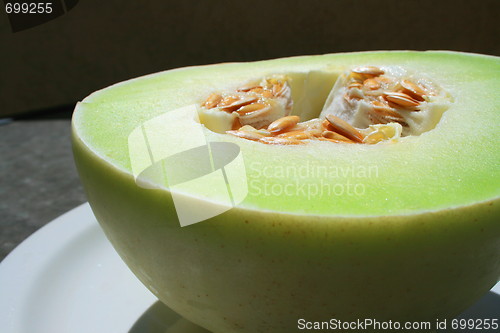 Image of Honeydew Melon