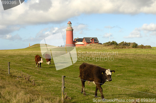 Image of Bovbjerg fyr