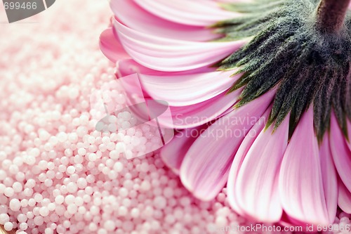 Image of bath salt with gerbera