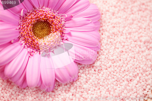 Image of bath salt with gerbera