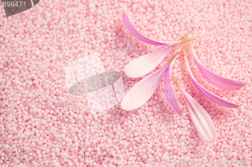Image of bath salt with gerbera