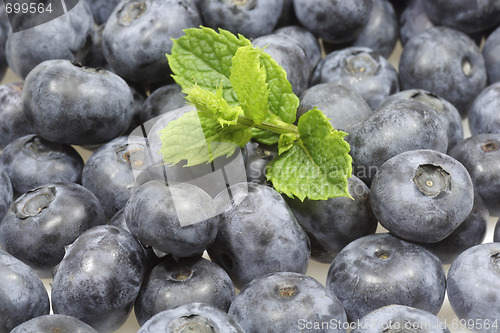 Image of Blueberries