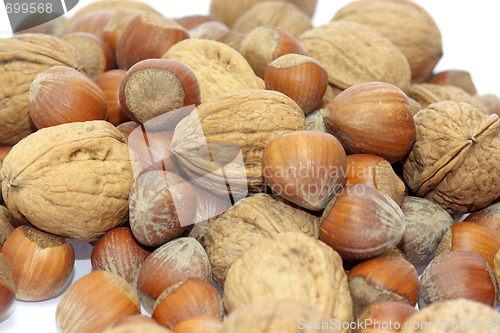 Image of Mixed nuts