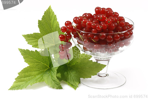 Image of Red currants