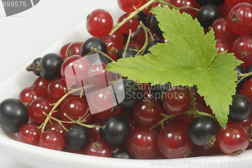 Image of Currants