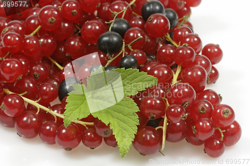 Image of Currants