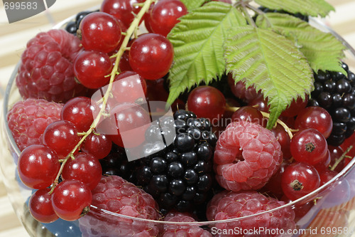 Image of Berries