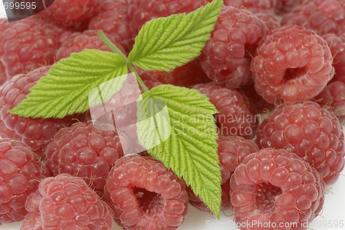 Image of Raspberries