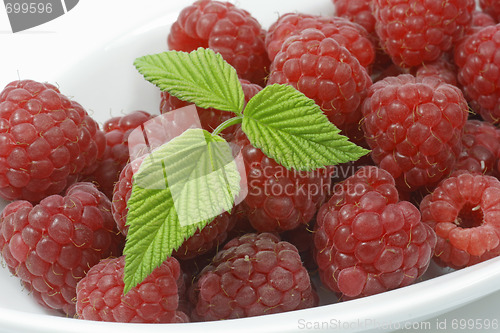 Image of Raspberries