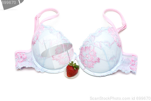 Image of Blue bra with rose embroidery and strawberries