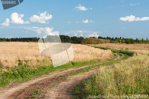Image of Landscape road in field of the wheat
