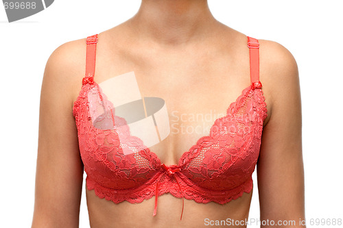 Image of Bust of the young girl in red bra