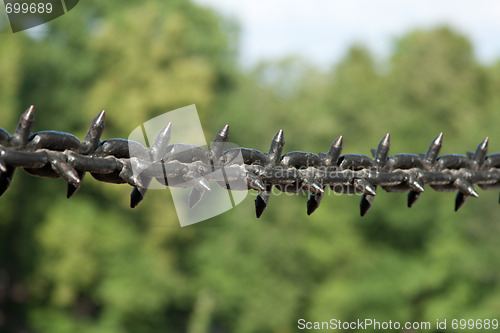 Image of Chain with thorn