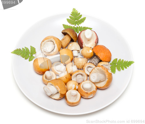 Image of Plate with mushroom