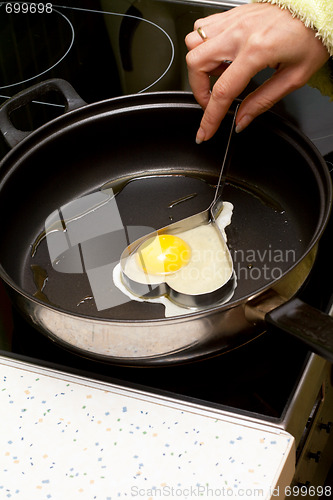 Image of Fried egg