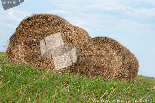 Image of Two stack hay rolled