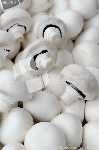 Image of mushrooms - champignons