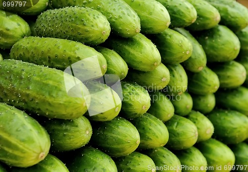 Image of heap of green cucumbers