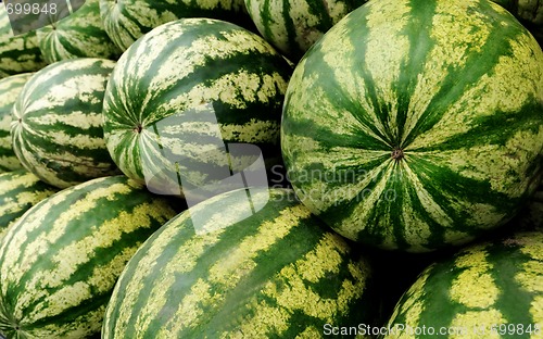 Image of watermelon