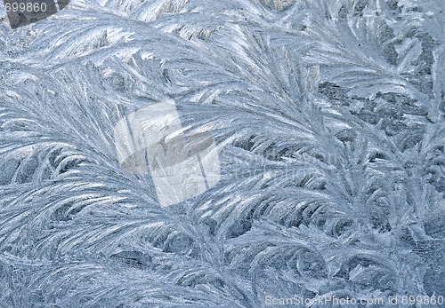 Image of Frozen window