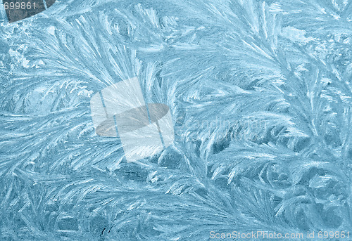 Image of Frozen window
