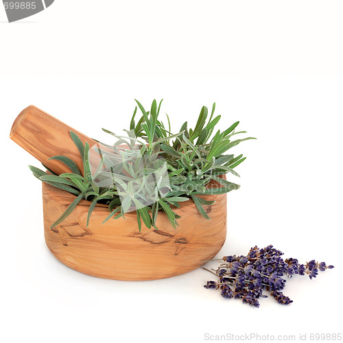 Image of Lavender Herb