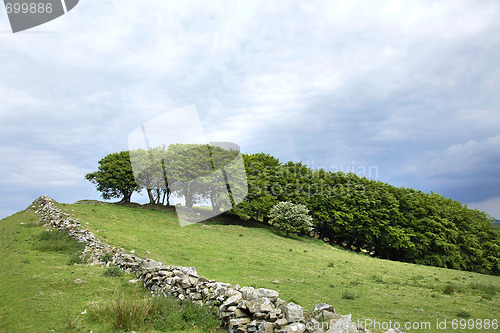 Image of Hillside in Spring