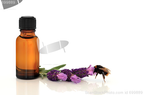 Image of Lavender Herb Essence