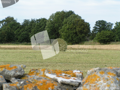 Image of Rolled up hay