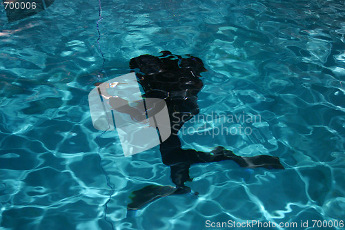 Image of Diver moving underwater