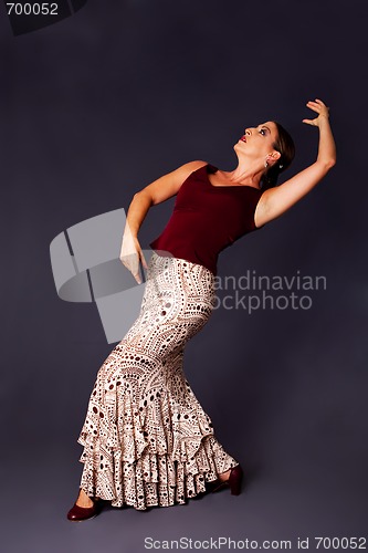 Image of Modern Flamenco dancer woman