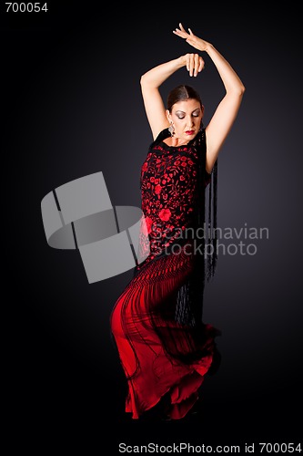 Image of Spanish Paso Doble dancer