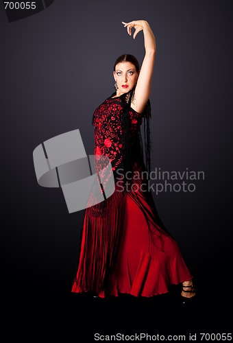 Image of Spanish Flamenco dancer
