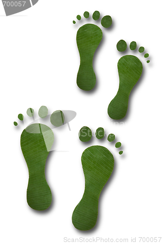 Image of Green Footprints