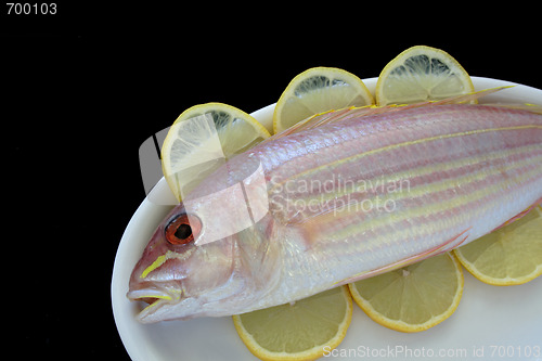 Image of golden threadfin fish