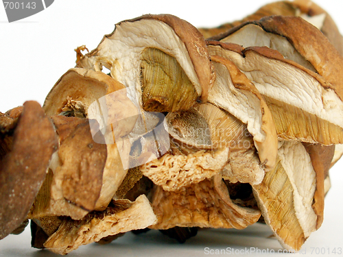 Image of dried mushrooms