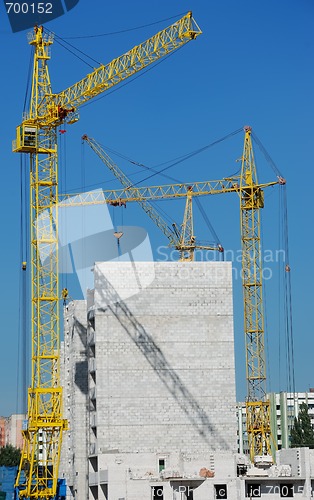 Image of Group of yellow tower cranes