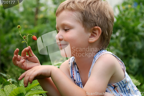 Image of boy with strawberries